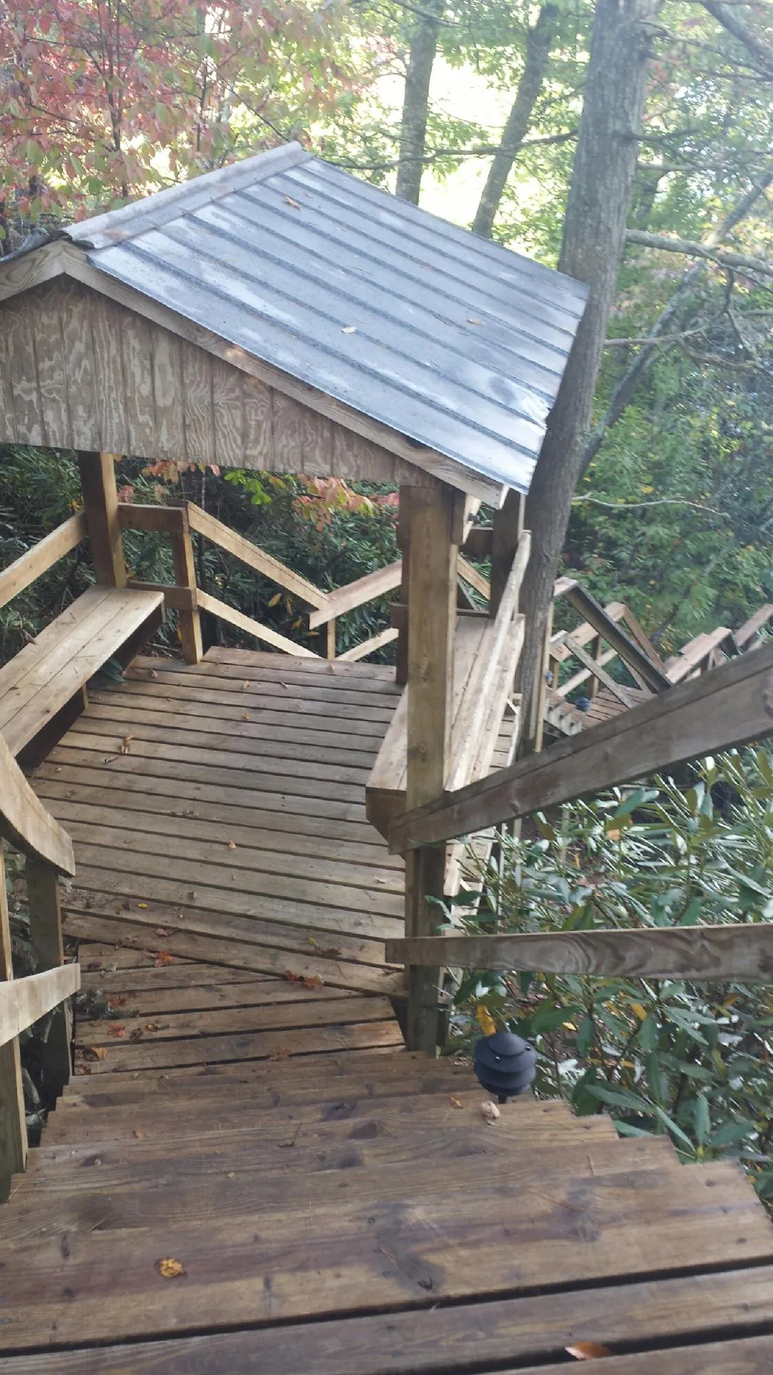Metal roofed shelter over wooden steps on a wooded walkway — Skylight Repair & Installation work by our crew in Buena Vista